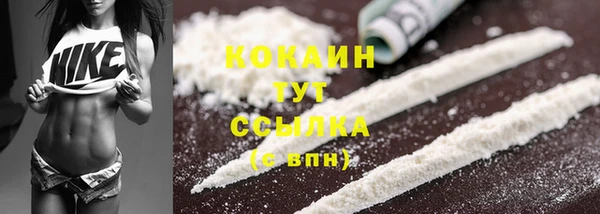 PSILOCYBIN Новозыбков