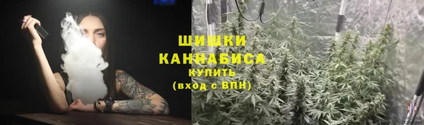 PSILOCYBIN Новозыбков