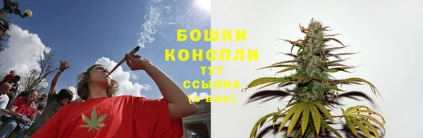 PSILOCYBIN Новозыбков